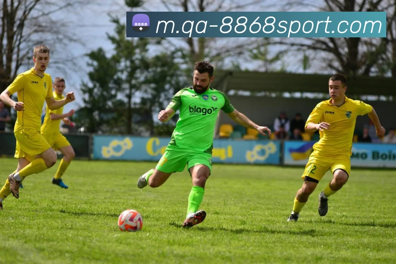 8868体育服务体系